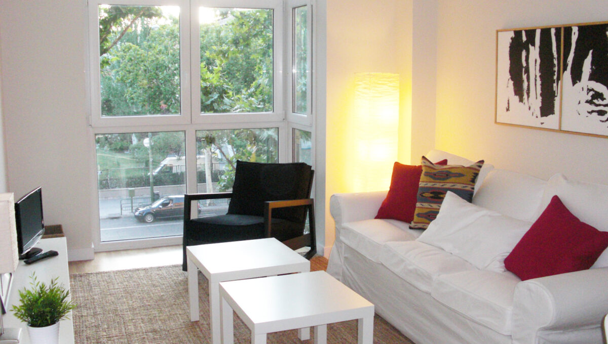 091-3psp Doctor esquerdo 65